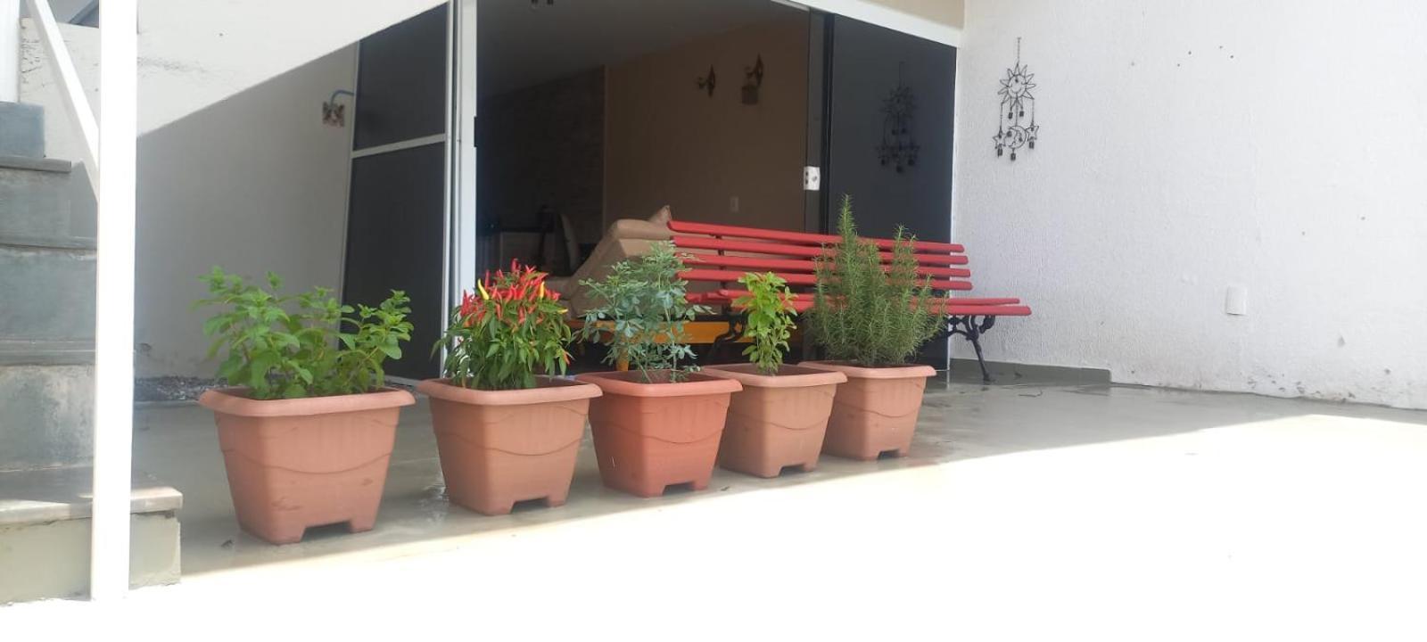 Studio Do Wander Amparo  Exterior photo